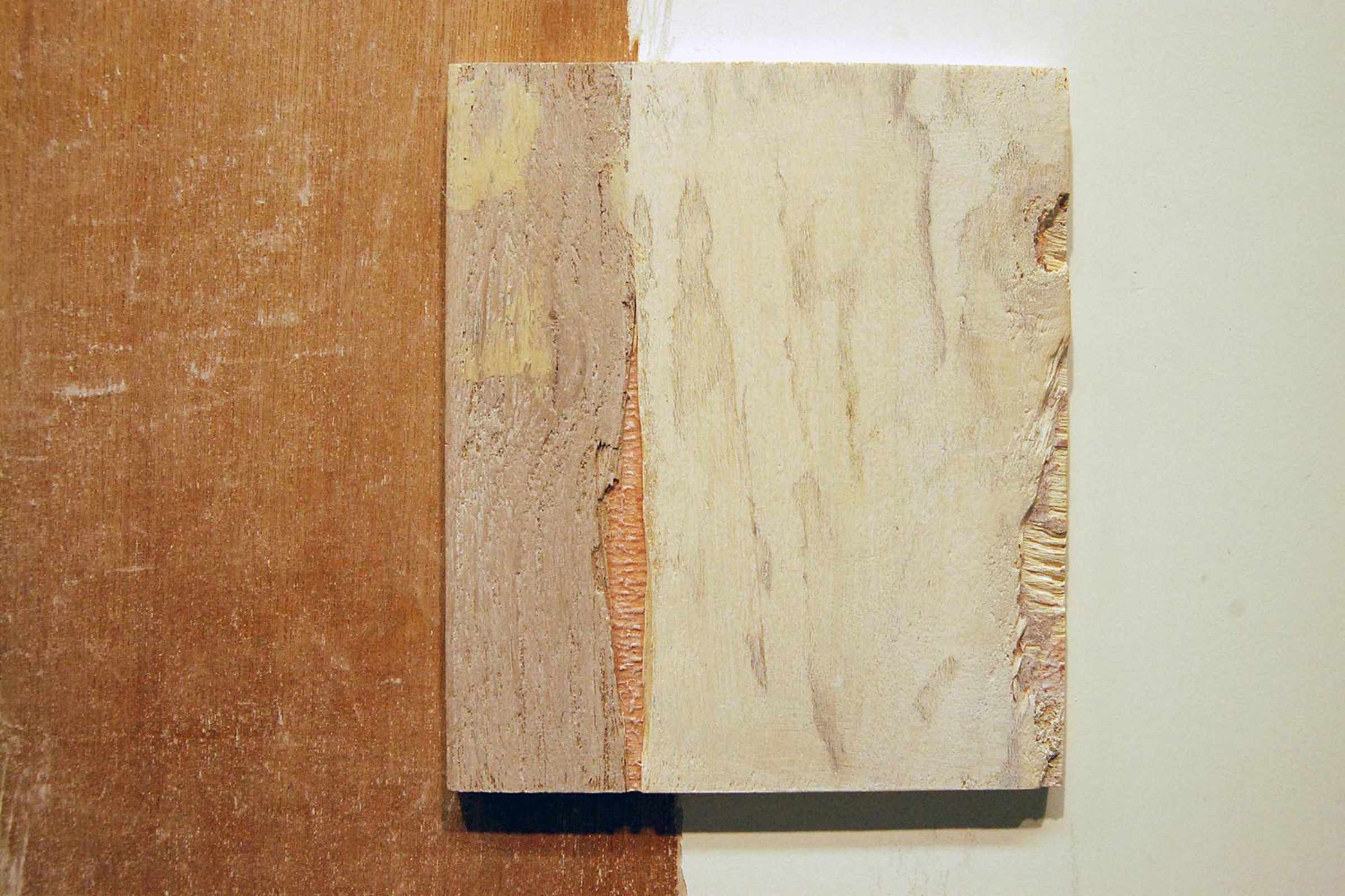 Sunday Lai - Traces installation shot at the gallery